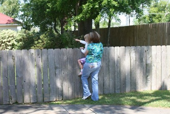 woman holding child up to fence