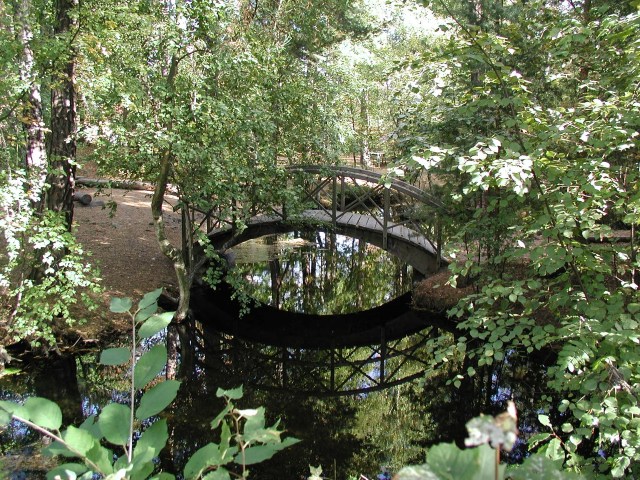 Arched wood bridge over stream