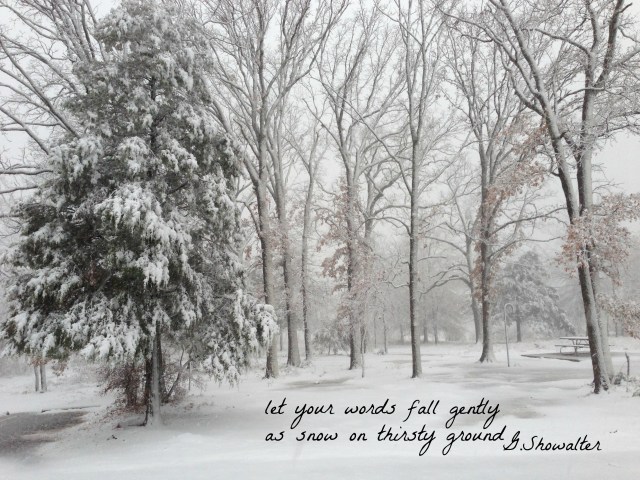 Snowfall in woods with quote