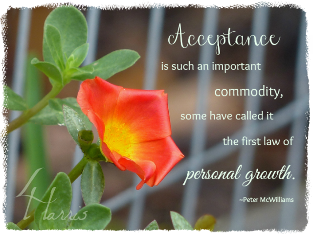 Acceptance quote on photo of morning glory
