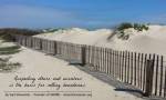Photo graphic of wooden fence at angle across sand drifts at beach