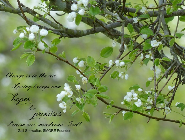 Pear tree in bloom with quote